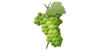 zemedelie