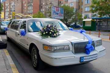 Snimka17