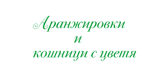 Заглавие