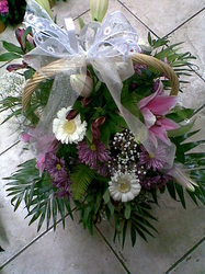Snimka08