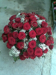 Snimka26