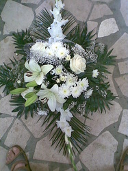 Snimka30