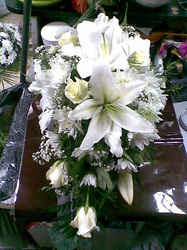 Snimka33