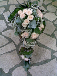 Snimka38