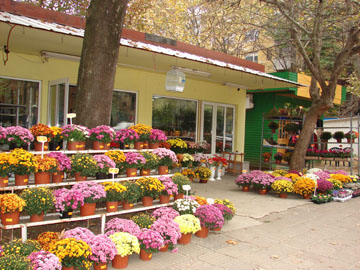 Snimka15