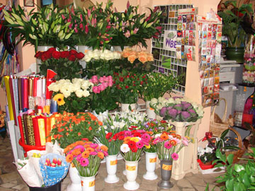 Snimka17