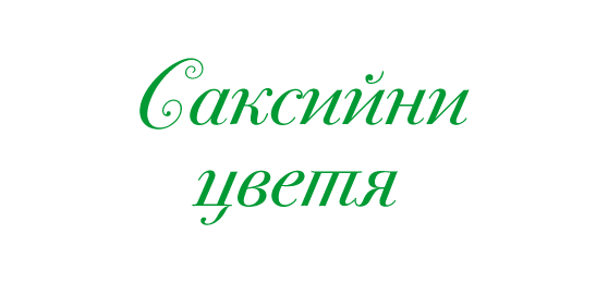 Заглавие