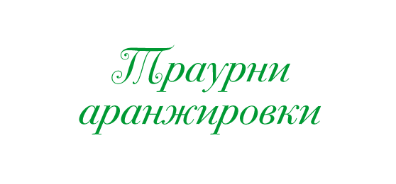 Заглавие