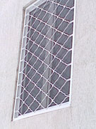 Snimka147
